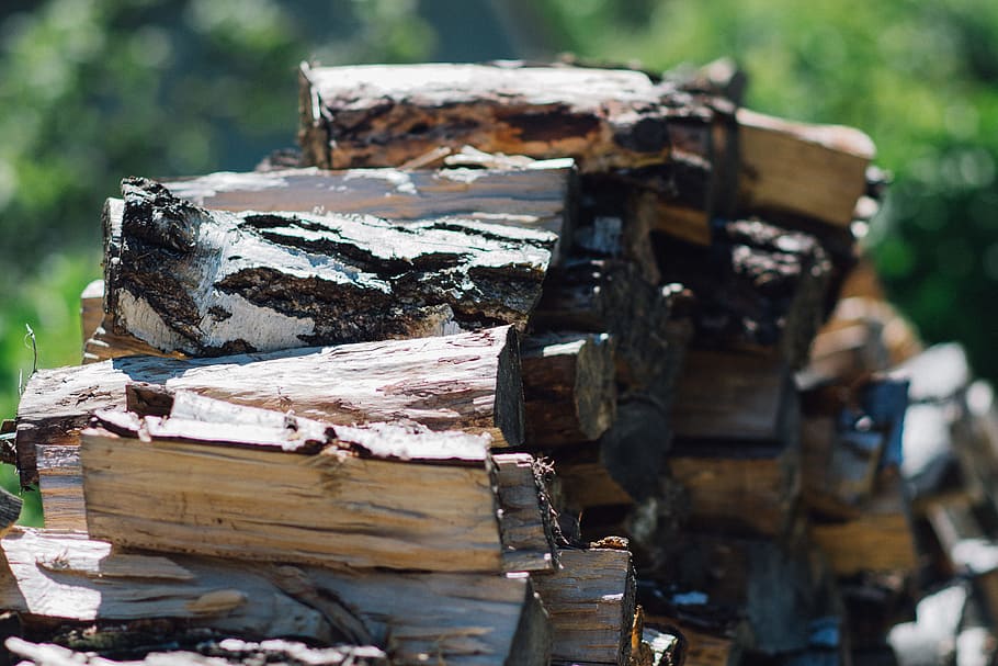 Brown Firewood during Daytimes, chopped wood, logs, wooden logs, HD wallpaper
