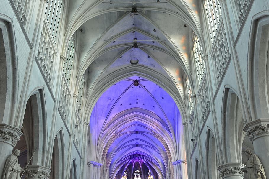 church, building, vaults, architecture, st rombouts cathedral HD wallpaper