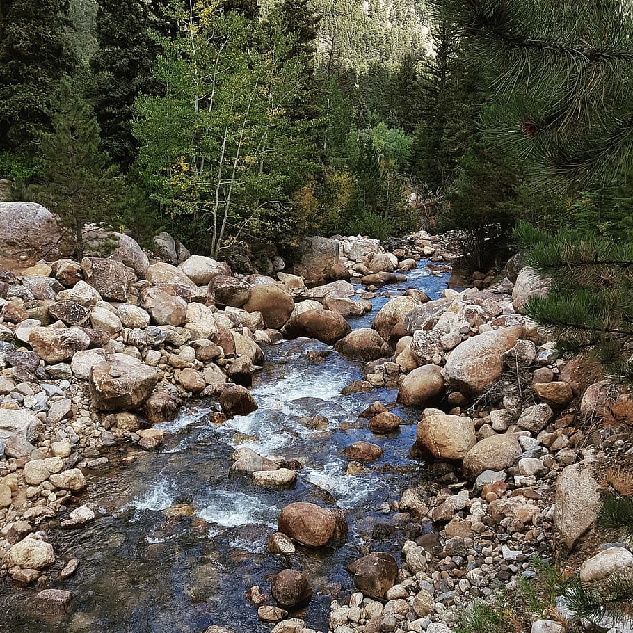 Stream, Rocks, brook, forest, rock - object, water, nature HD wallpaper