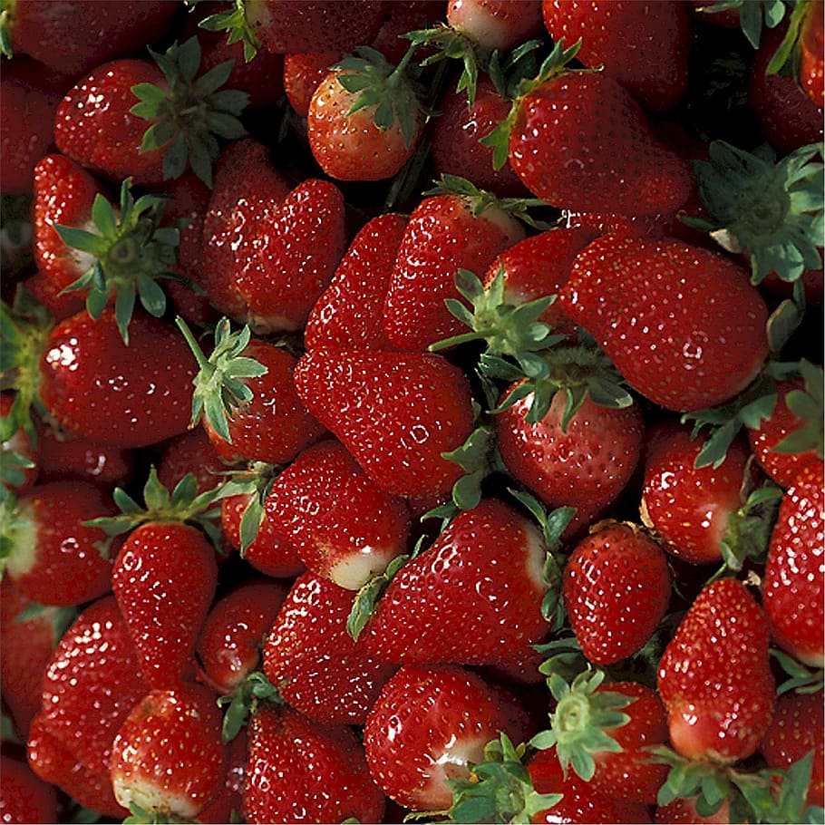Strawberries, Ripe, Fruit, Fresh, red, nutritious, ingredient, HD wallpaper