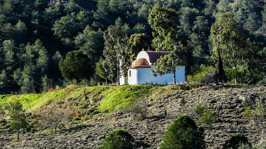 cyprus, chapel, forest, mountainous, landscape, tree, plant HD wallpaper