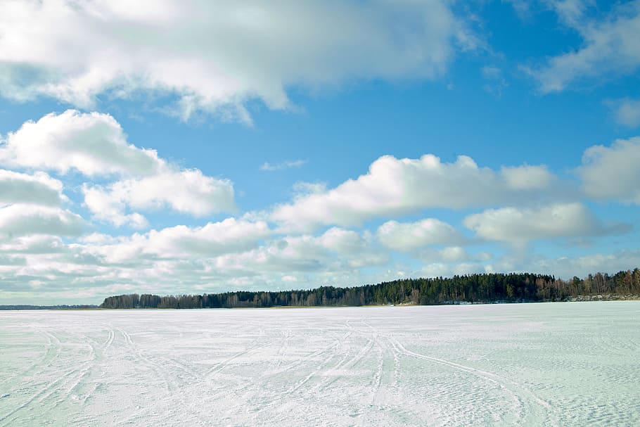 the first snow, clouds, winter, forest, morning, russia, under the snow HD wallpaper
