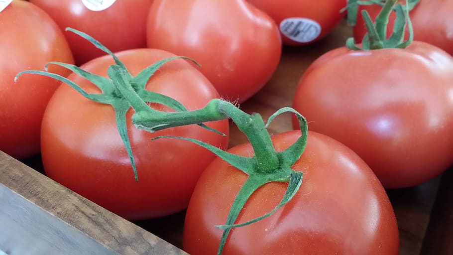red, tomatoes, vegetables, food, kitchen, food and drink, wellbeing HD wallpaper