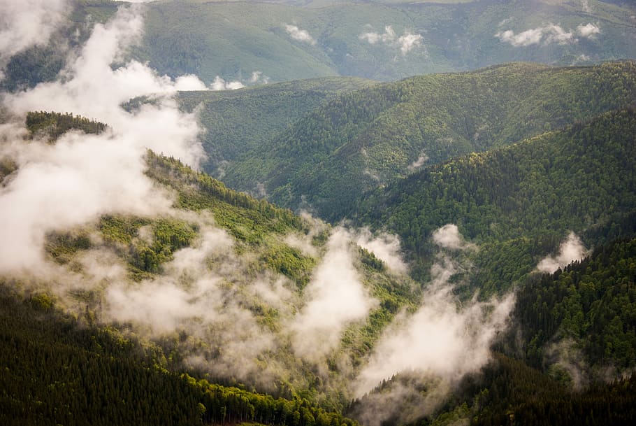 landscape photo of mountains covered in fogged, clouds, gray HD wallpaper