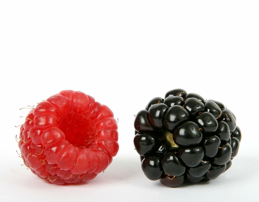 two berry fruits on white surface, black, blackberry, blueberry