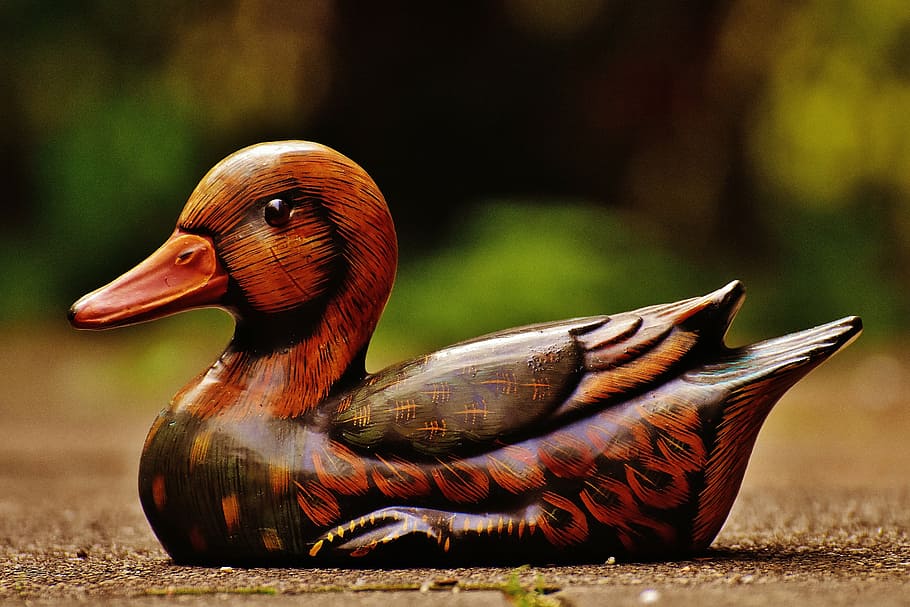 duck, deco, figure, cute, sweet, animal, colorful, bird, nature HD wallpaper