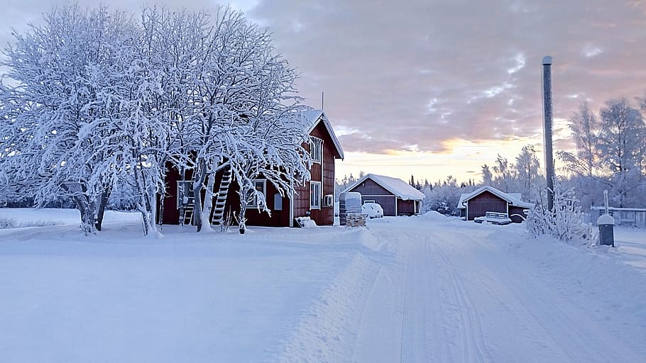 vacation, wintry, snow, trees, snowy, winter, cold temperature HD wallpaper