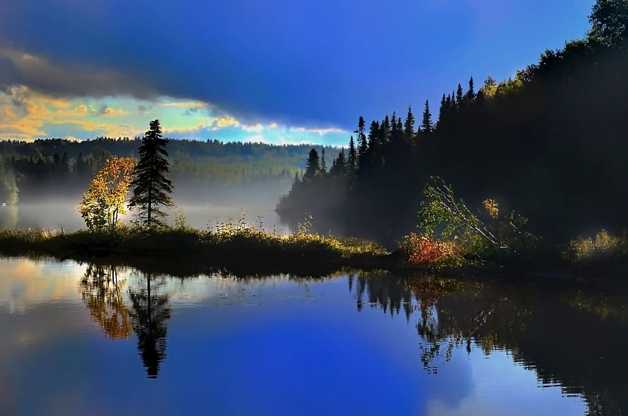 trees surrounded by body of water under blue sky, landscape HD wallpaper