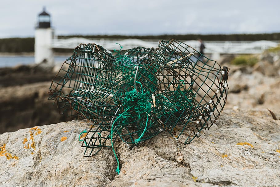 black and green net on rock, green fishing net on rock, wire