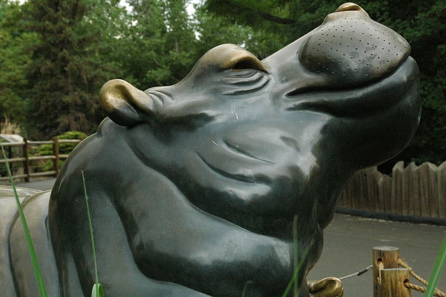 hippo, zoo, statue, sculpture, art and craft, representation HD wallpaper