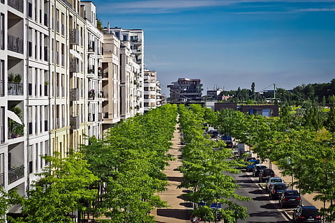 green grass in front of high-rise building at daytime, architecture HD wallpaper