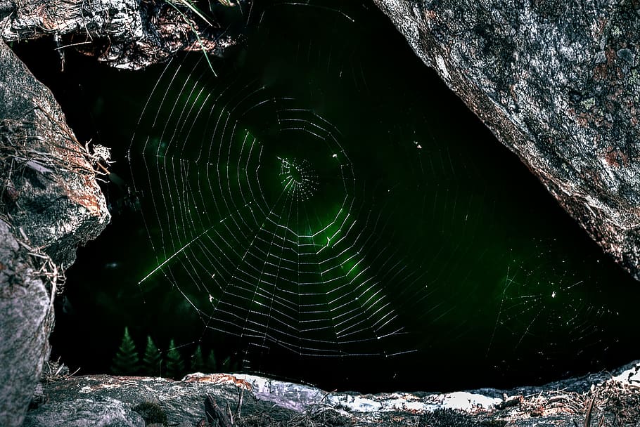 landscape, dark, rocks, pattern, blur, close-up, environment HD wallpaper
