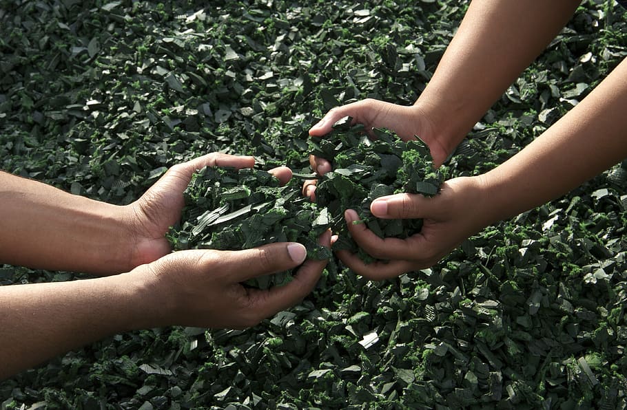 people holding green leaves, hands, working together, teamwork HD wallpaper