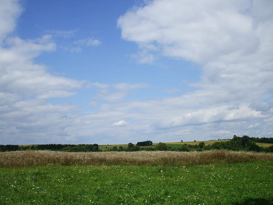 Field, Countryside, Rural, Landscape, sky, nature, grass, blue HD wallpaper