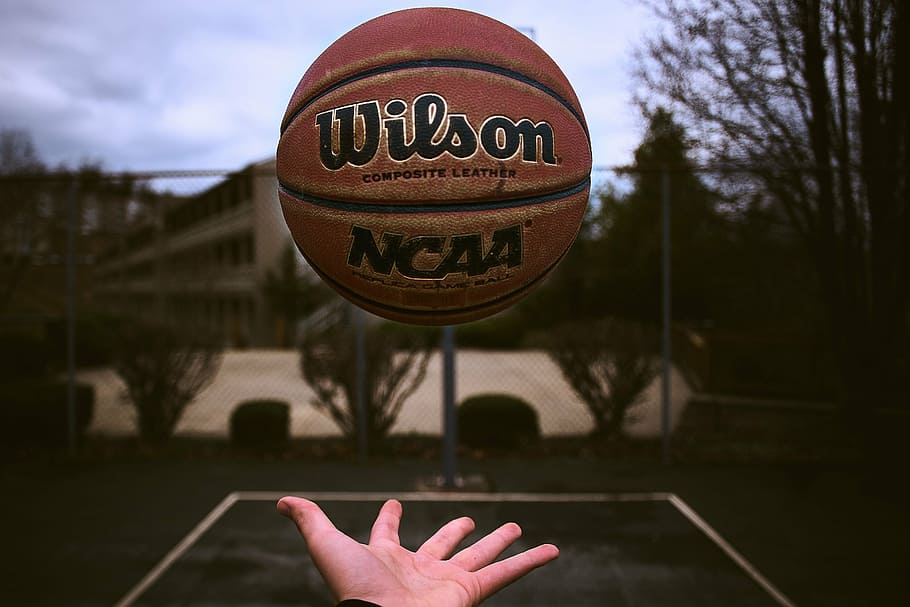 person playing brown Wilson basketball, sport, game, fitness