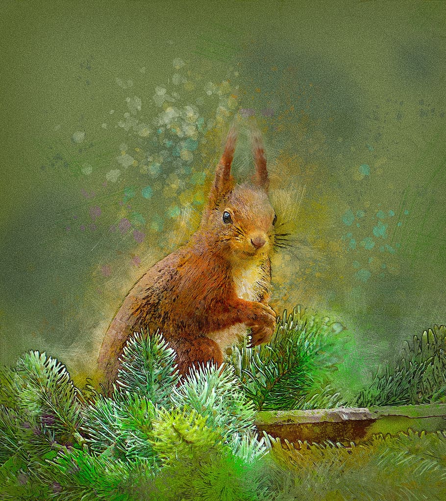 panting of rabbit on the bush, squirrel, forest, animal, rodent HD wallpaper