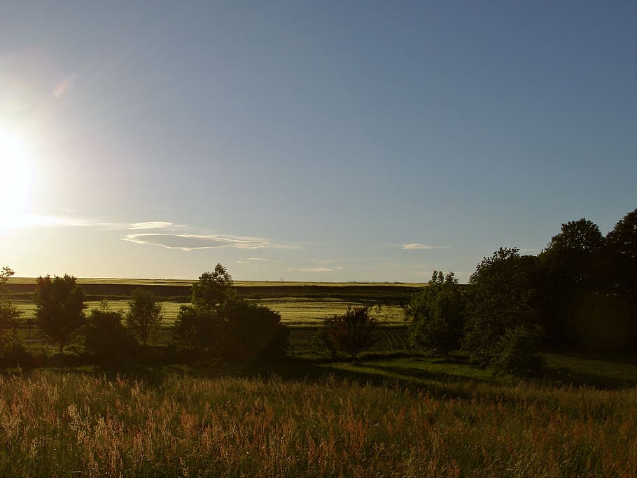 nature, sky, sunset, wheat, green, blue, sky clouds, croatia HD wallpaper
