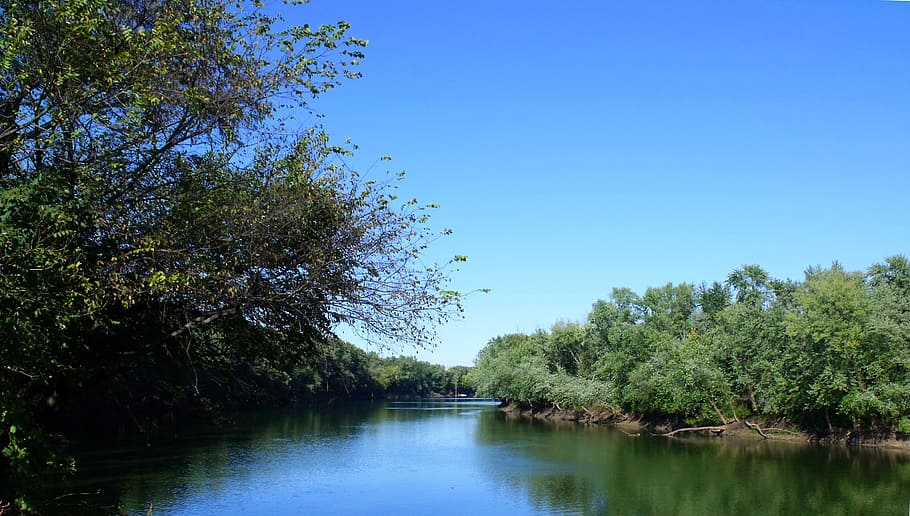 Trees, Water, Landscape, green, summer, wilderness, scenery HD wallpaper