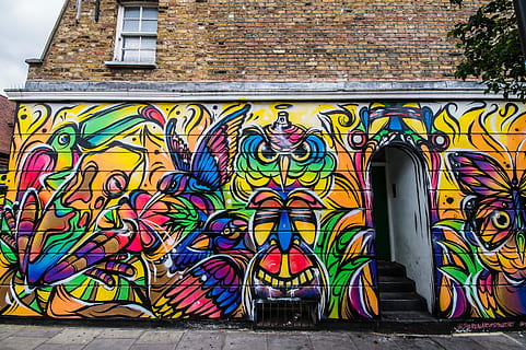 multicolored abstract graffiti on concrete buildings' wall during daytime, birds graffiti painted wall HD wallpaper
