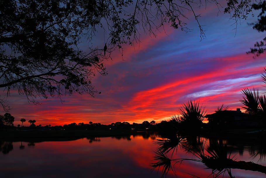 silhouette of trees under the red sun, sunset, golf course HD wallpaper