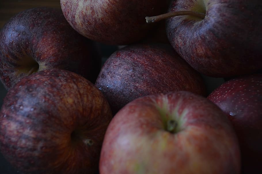 apples, fruit, power, flavor, tree, fruit trees, harvest, basket HD wallpaper