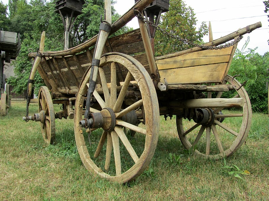 cart, auto, plant, transportation, wheel, tree, field, land HD wallpaper