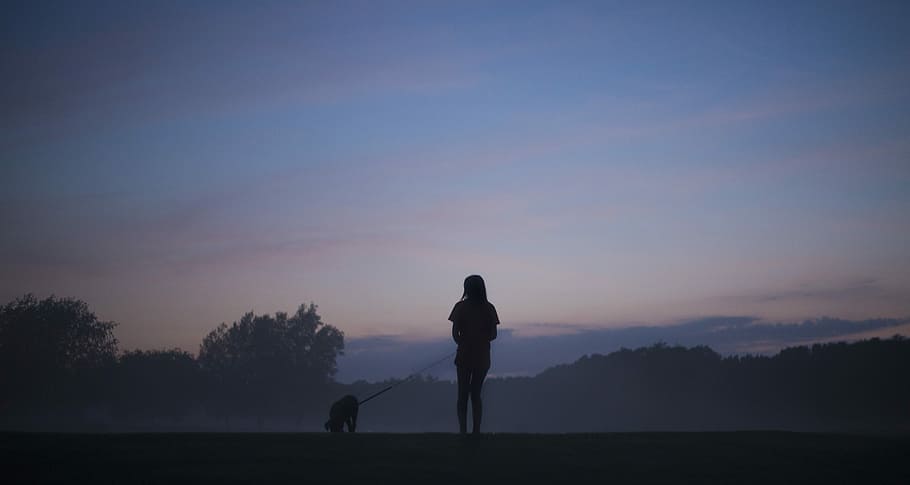 silhouette person standing holding dog, silhouette of woman holding leashed dog during golden hour