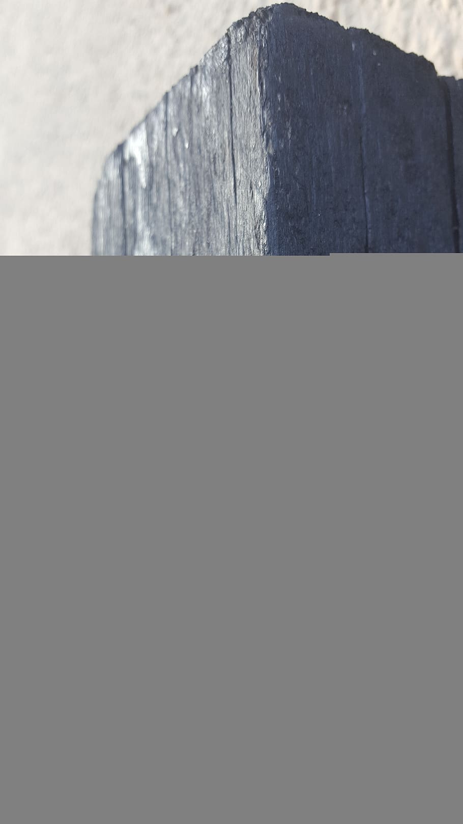 old, beetle, no people, day, copy space, close-up, nature, textured HD wallpaper