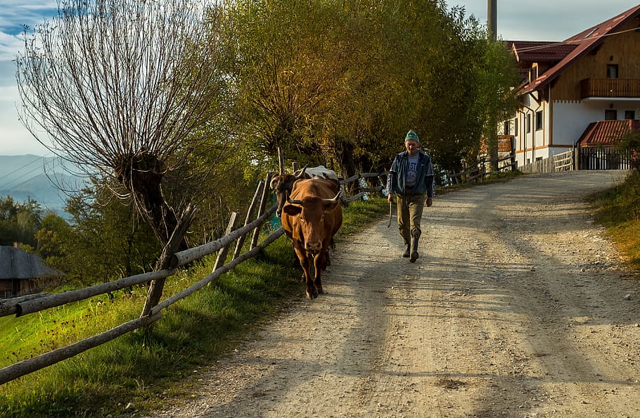 Pastoral, Magura, Village, Romania, magura village, two people, HD wallpaper