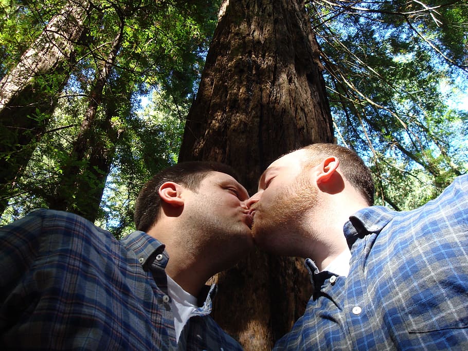 two man kissing beside wood taken during daytime, gay marriage