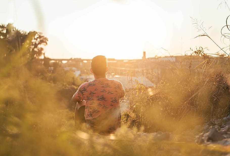 man in pink and gray shirt sitting on rock surrounded by plants, man sitting outdoor during daytime HD wallpaper