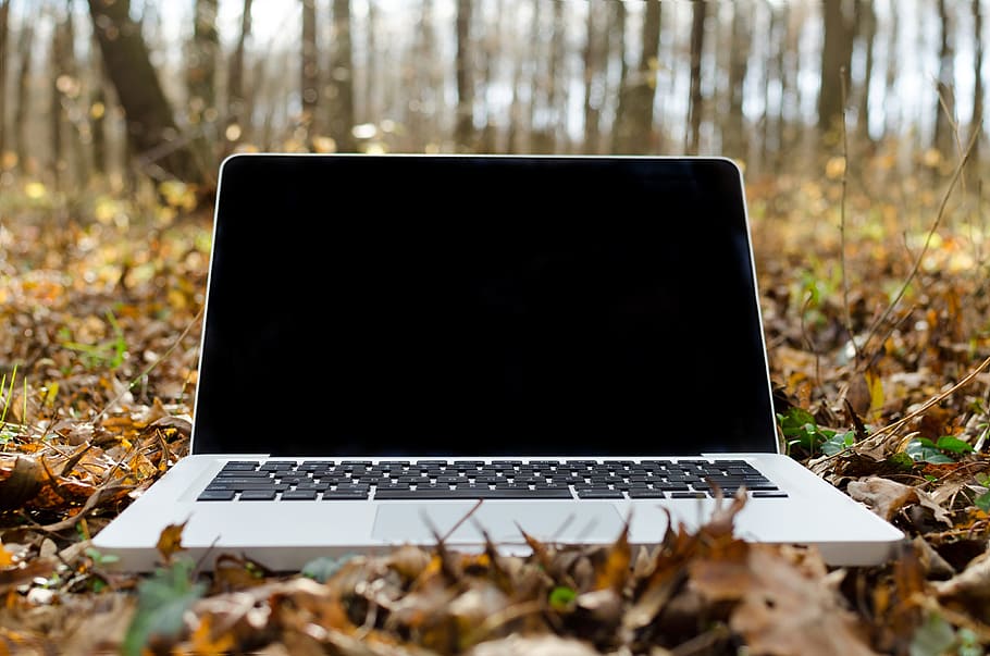 MacBook Pro on ground surrounded by leaves, laptop, apple, keyboard HD wallpaper