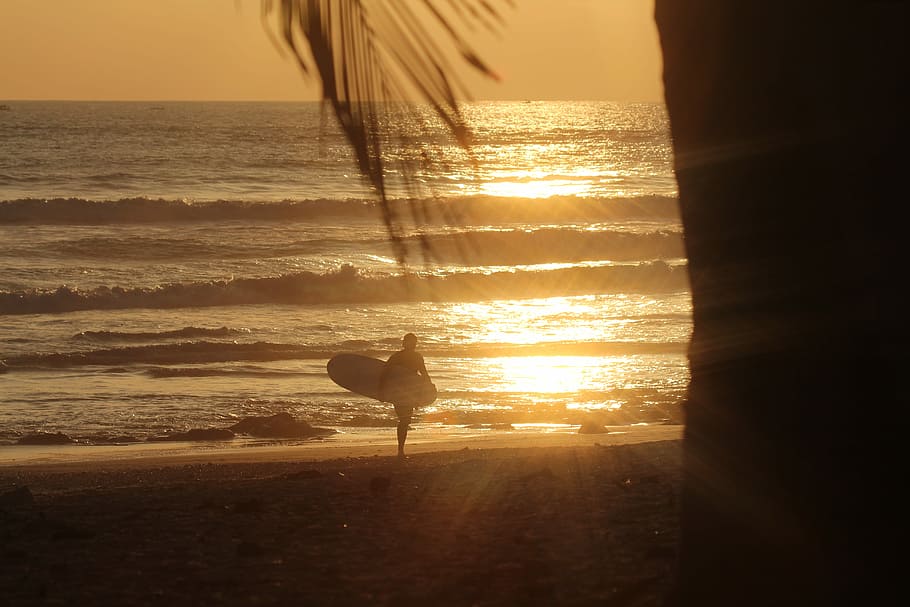 person carrying surfboard while walking on seashore during golden hour, person holding surfboard
