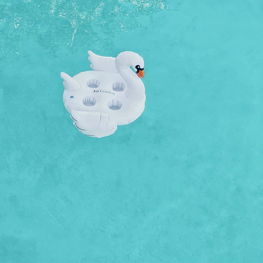 white swan inflatable on body of water, white swan inflatable tube on top of body of water HD wallpaper