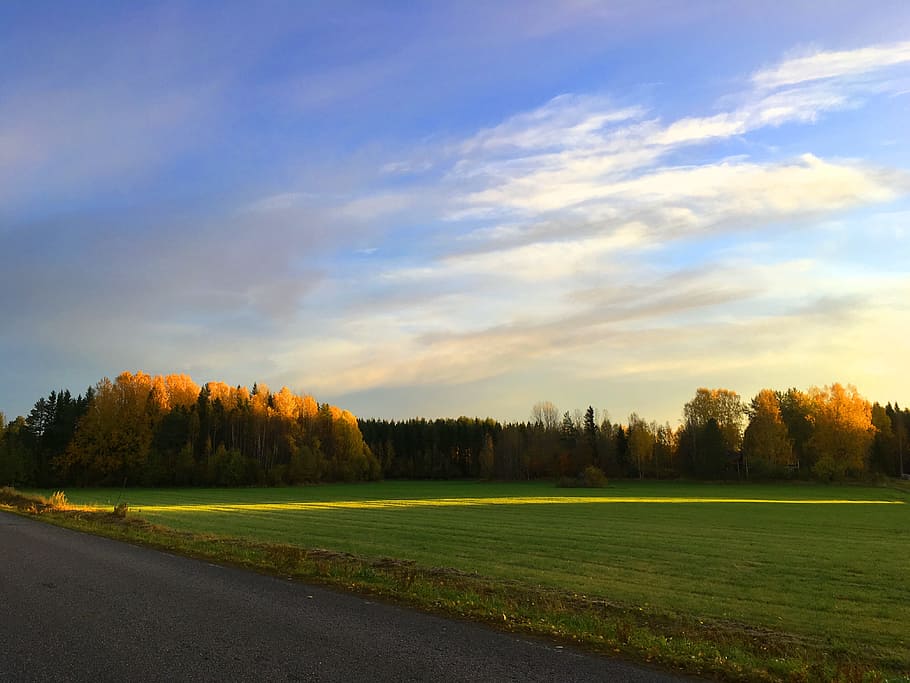 Himmel, Tree, ultervattnet, autumn, forest, nature, blue sky HD wallpaper