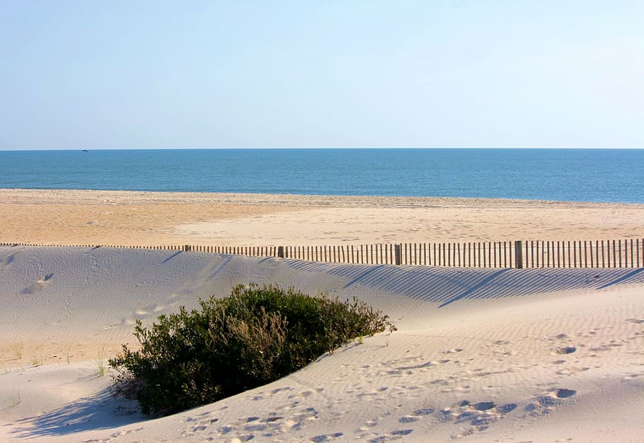 beach, windswept, sand erosion control, sand fence, atlantic ocean, HD wallpaper