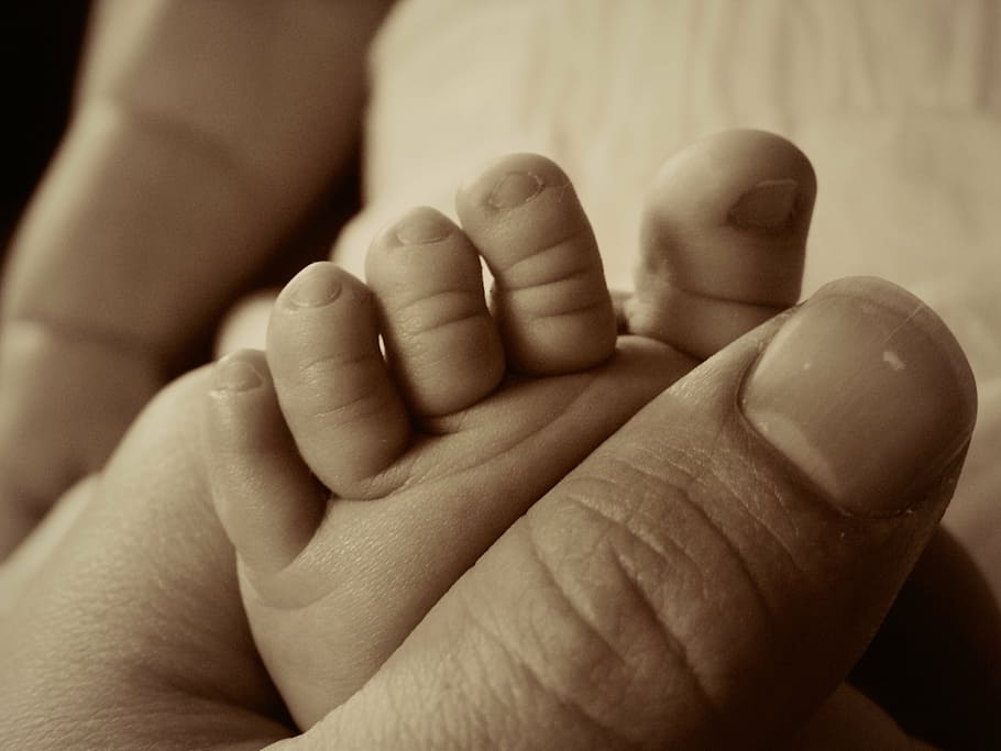 containing, security, child, foot, ten, children, keep, cohesion HD wallpaper