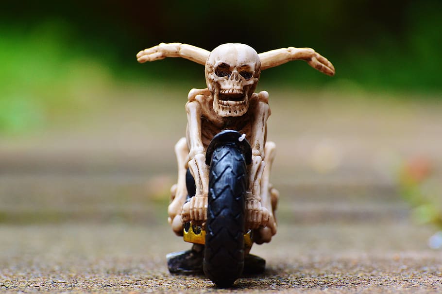 biker, skeleton, creepy, weird, decoration, scary, bone, horror HD wallpaper