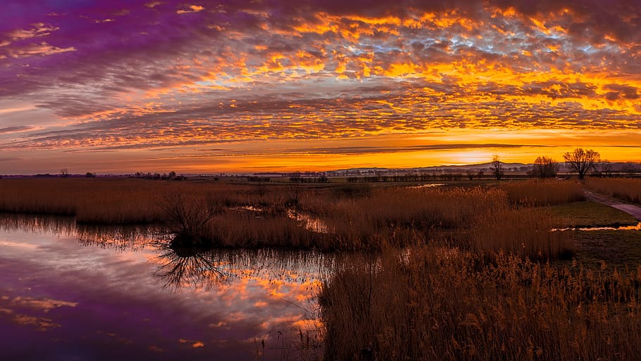 sunset, sunrise, nature, clouds, sky, grass, tree, lake, water HD wallpaper
