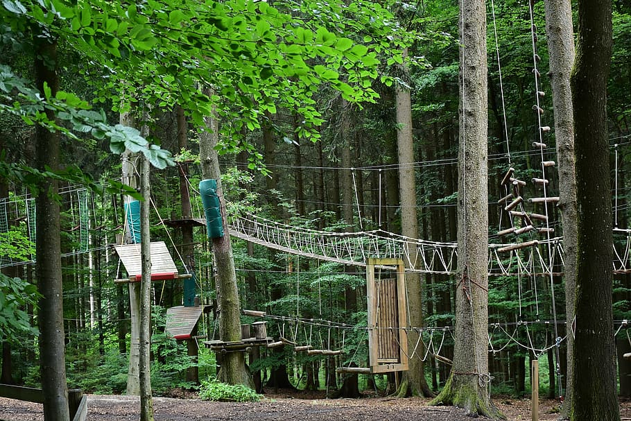 high ropes course