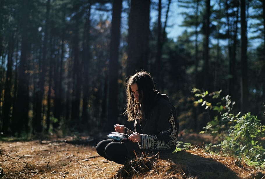 woman sitting on brown grass holding book, girl, reading, forest HD wallpaper