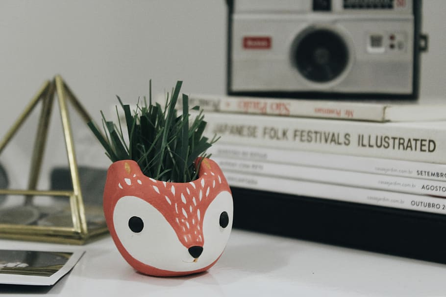 white and red fox plant pot, photo of white and orange deer vase HD wallpaper