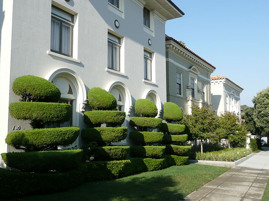 Decorative, Tree, Cut, Green, Building, tree cut, facade, landscaping HD wallpaper