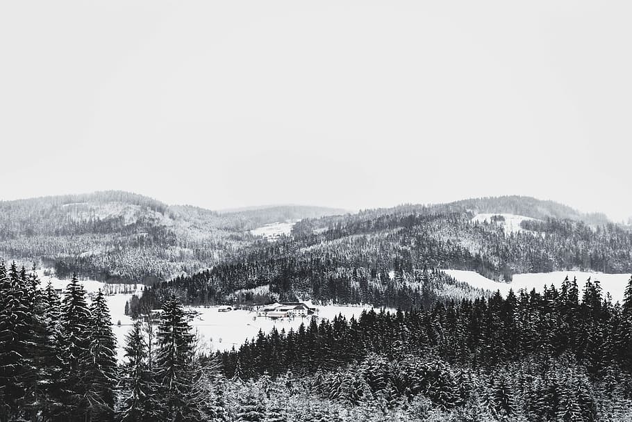 photography of snow covered mountain and forest during daytime, untitled HD wallpaper