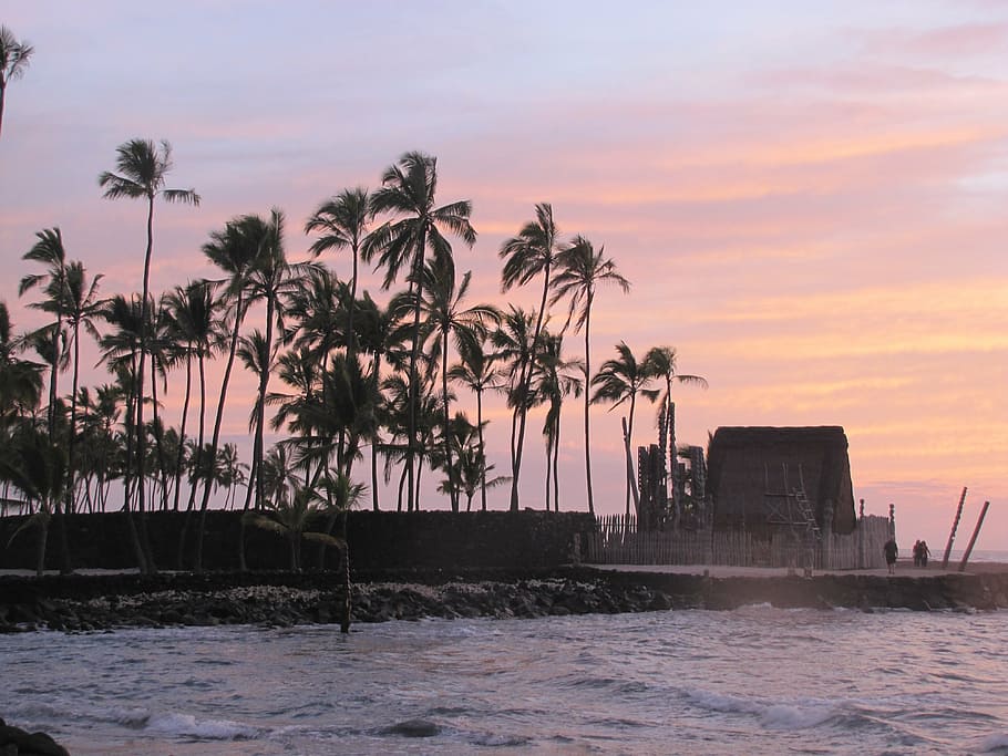 sunset, palm, lava, nature, atmosphere, twilight, beach, evening sky HD wallpaper