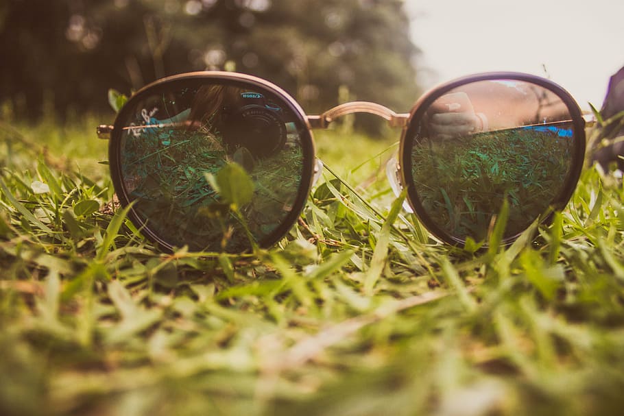 blur, camera, close-up, environment, eyeglasses, field, grass HD wallpaper
