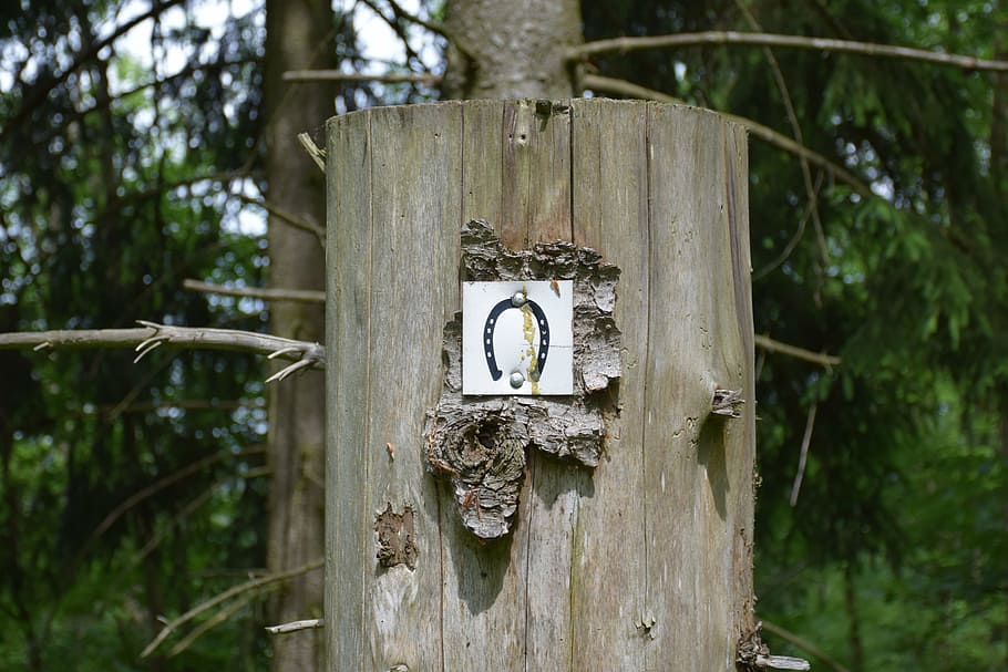 horseshoe, shield, log, note, old, great idea, funny, like HD wallpaper
