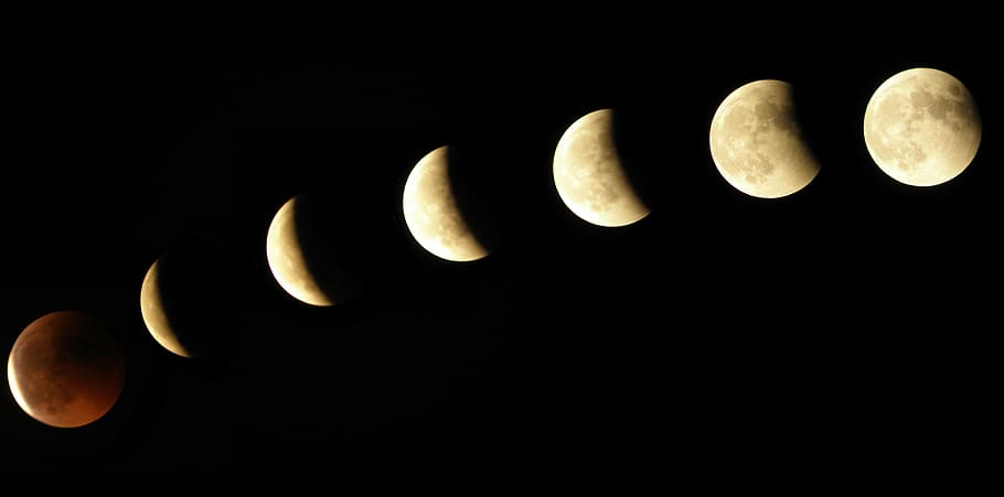 time lapse photography of planet moon, eclipse, phases, full moon HD wallpaper