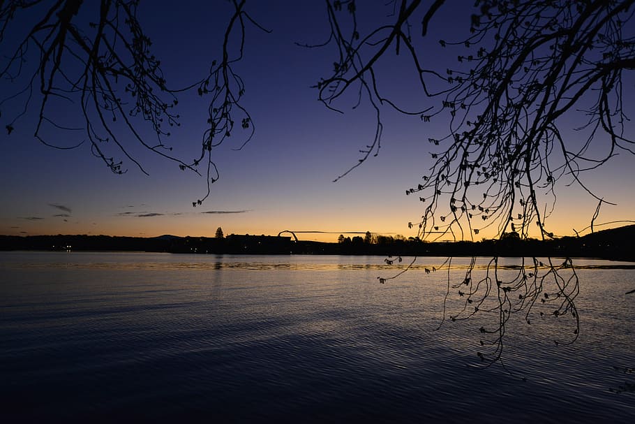 evening, tree, lake, water, sky, scenics - nature, beauty in nature HD wallpaper