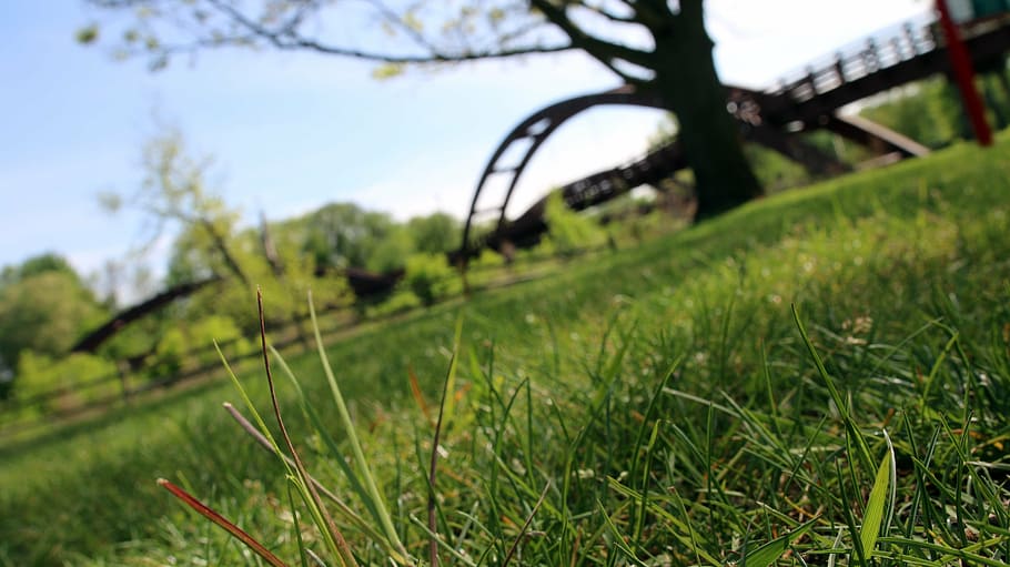 bridge, park, grass, summer, midland, michigan, green, outdoors HD wallpaper
